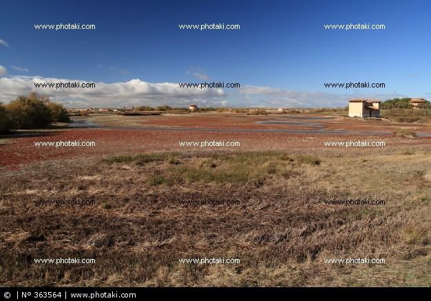 Imagen de Villafáfila mapa 49136 3 