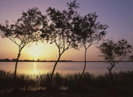 Imagen de Villafranca de los Caballeros mapa 45730 3 