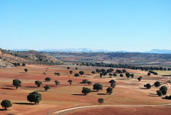 Imagen de Villahermosa mapa 13332 4 