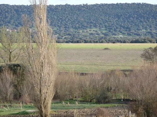 Imagen de Villalba de los Llanos mapa 37446 6 