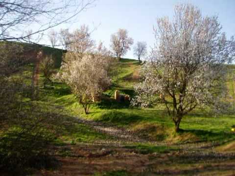 Imagen de Villalube mapa 49539 5 