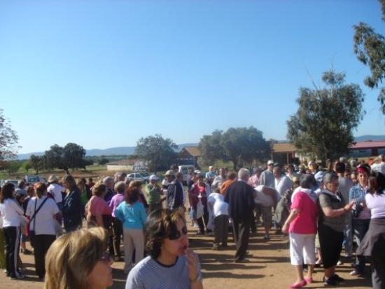 Imagen de Villamayor de Calatrava mapa 13595 3 