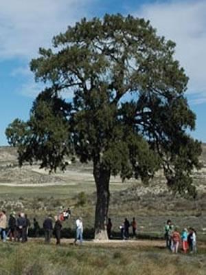 Imagen de Villamayor de Gállego mapa 50162 2 