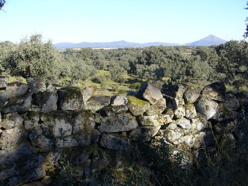 Imagen de Villamesías mapa 10263 2 