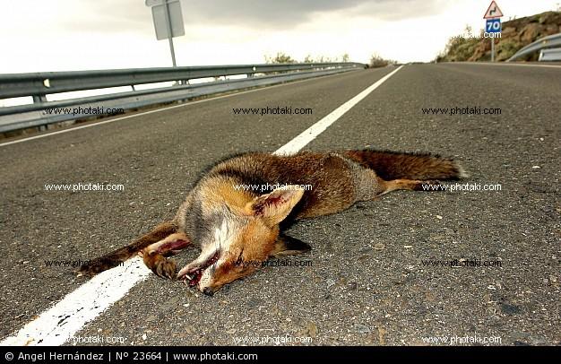 Imagen de Villamiel mapa 10893 3 