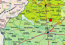 Imagen de Villamor de los Escuderos mapa 49719 6 