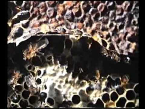 Imagen de Villanueva de Alcorón mapa 19460 5 