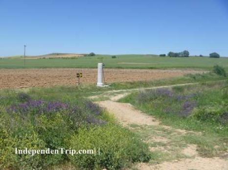 Imagen de Villanueva de Campeán mapa 49708 6 