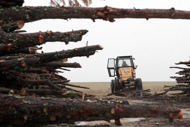 Imagen de Villanueva de Gómez mapa 05166 3 