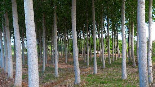 Imagen de Villanueva de Jiloca mapa 50370 1 