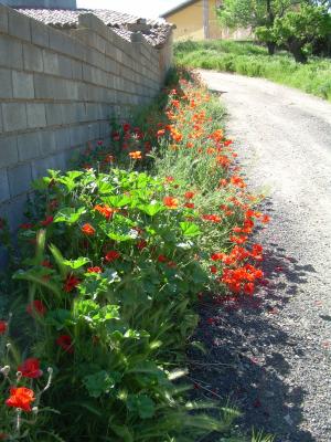 Imagen de Villanueva de Jiloca mapa 50370 6 