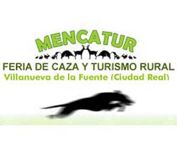 Imagen de Villanueva de la Fuente mapa 13330 3 