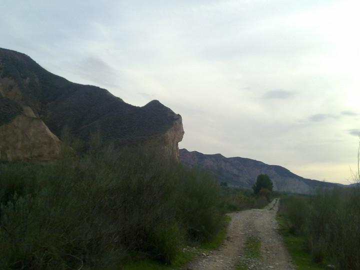 Imagen de Villanueva de las Torres mapa 18539 4 