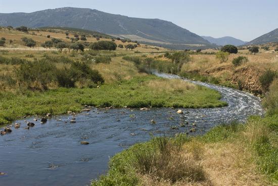 Imagen de Villanueva de San Carlos mapa 13379 3 