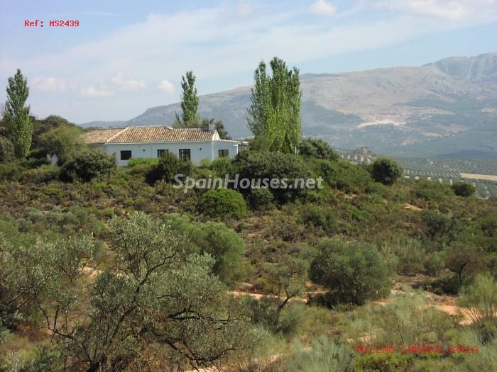 Imagen de Villanueva del Rosario mapa 29312 5 