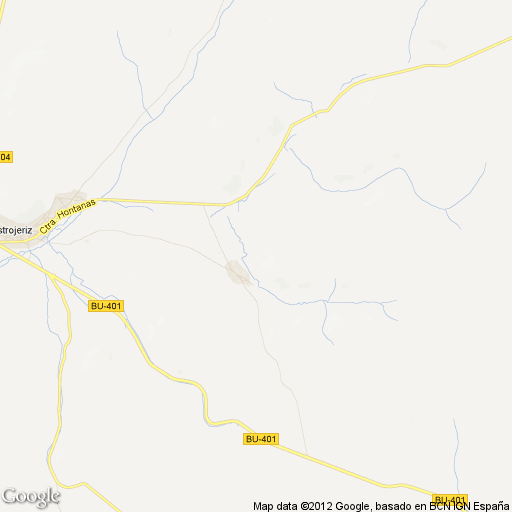 Imagen de Villaquirán de la Puebla mapa 09119 1 