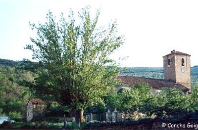 Imagen de Villar del Ala mapa 42165 3 