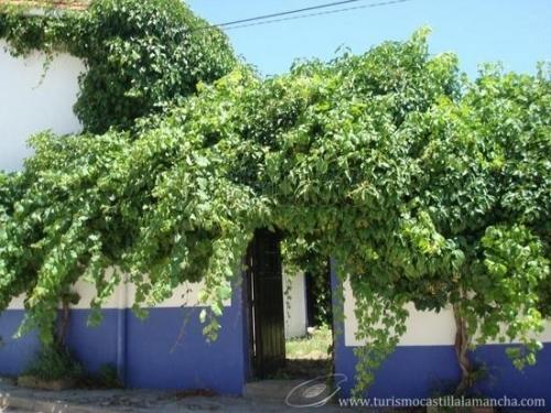 Imagen de Villarejo de la Peñuela mapa 16541 5 