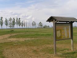 Imagen de Villarrabé mapa 34113 3 