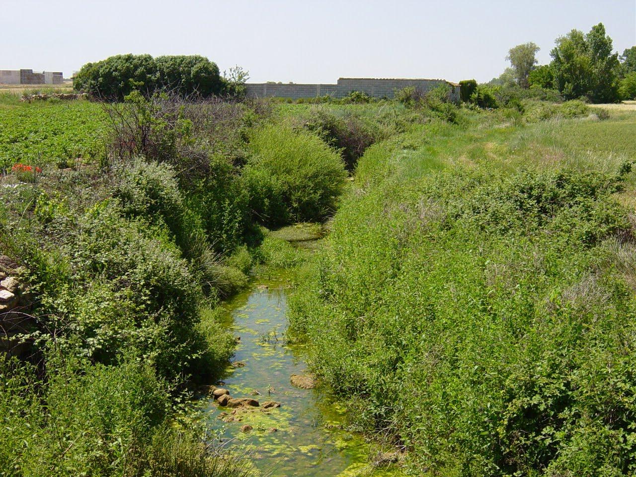 Imagen de Villarreal de Huerva mapa 50490 4 