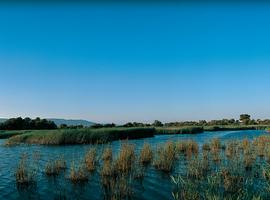 Imagen de Villarrubia de los Ojos mapa 13670 1 