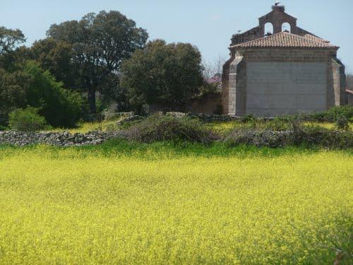 Imagen de Villasdardo mapa 37468 4 