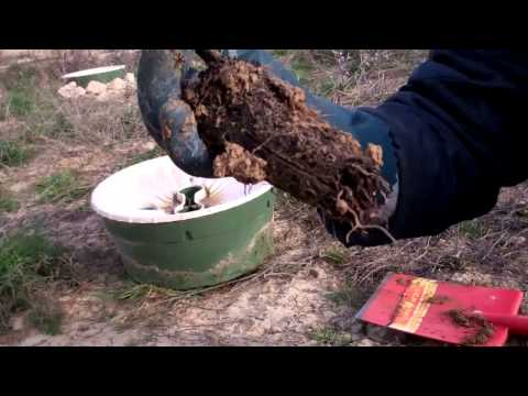 Imagen de Villodre mapa 34466 3 