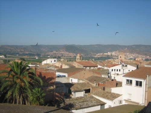 Imagen de Vinebre mapa 43792 4 