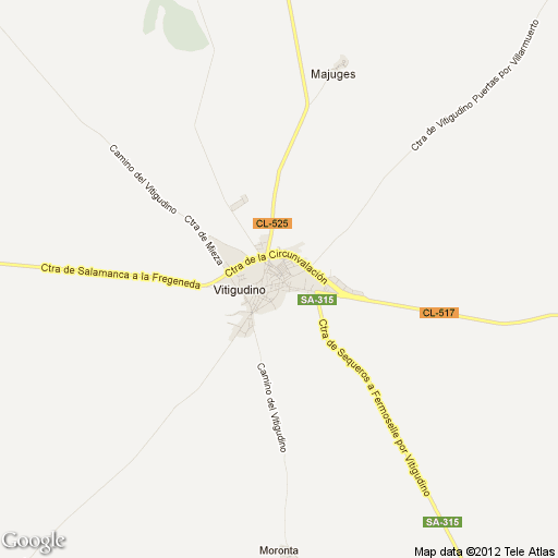 Imagen de Vitigudino mapa 37210 1 