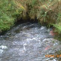 Imagen de Vozmediano mapa 42107 6 