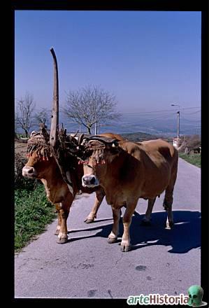 Imagen de Xunqueira de Ambía mapa 32670 4 