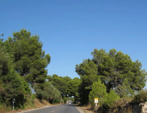 Imagen de Yátova mapa 46367 2 