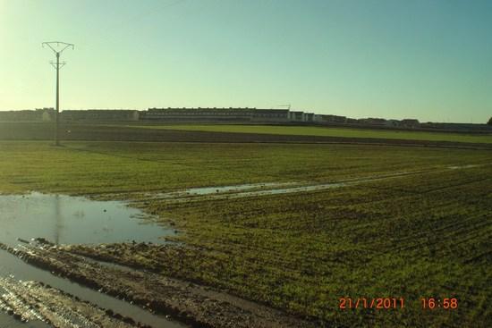 Imagen de Yuncos mapa 45210 3 