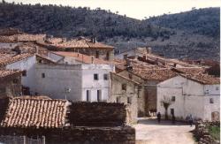Imagen de Zafrilla mapa 16317 3 
