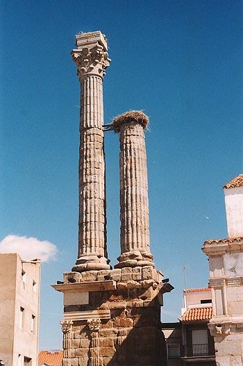 Imagen de Zalamea de la Serena mapa 06430 6 