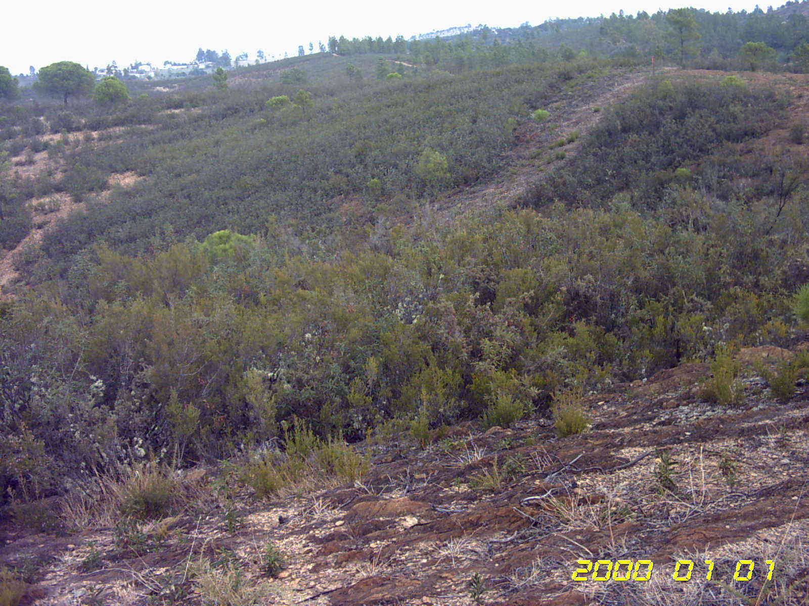 Imagen de Zalamea la Real mapa 21640 5 