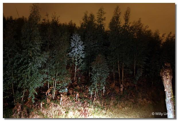 Imagen de Zaratamo mapa 48480 6 