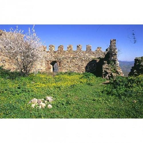 Imagen de Zarza-Capilla mapa 06611 6 