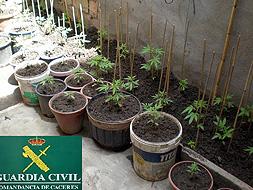 Imagen de Zarza la Mayor mapa 10880 1 