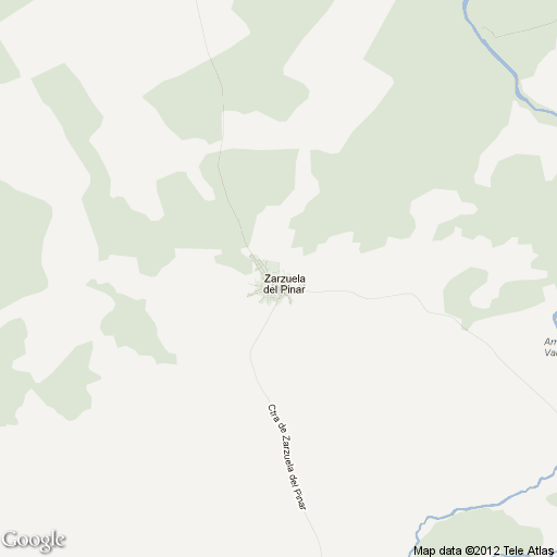 Imagen de Zarzuela del Pinar mapa 40293 1 