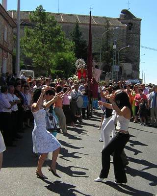 Imagen de Zarzuela del Pinar mapa 40293 3 